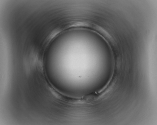 X0000114131321200910081236