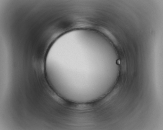 X0000114131322200910081236