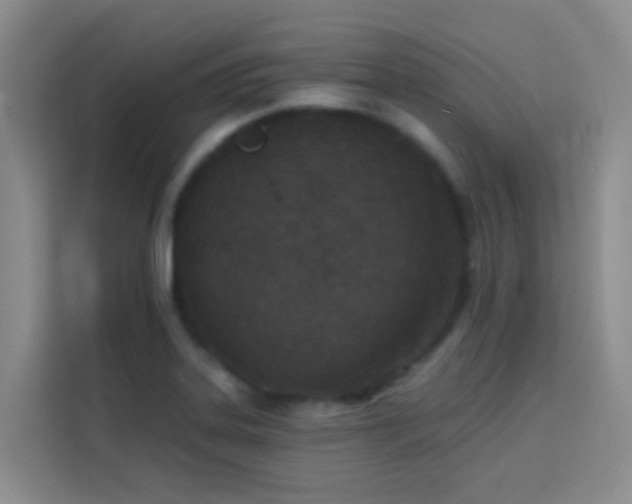 X0000114131323200910081236