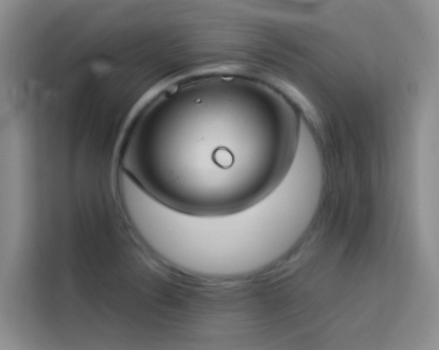 X0000114131324200910081236