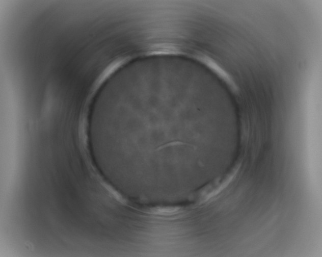 X0000114131325200910081236