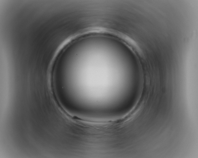 X0000114131326200910081236