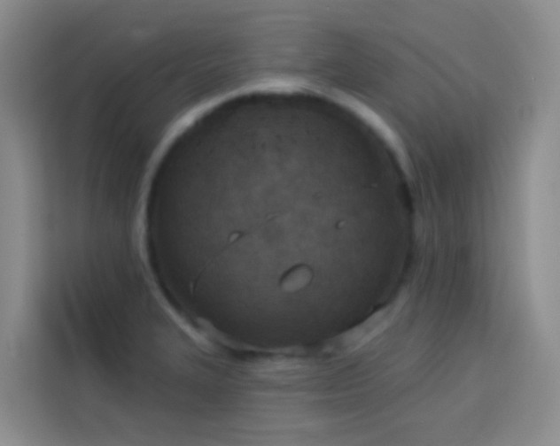 X0000114131327200910081236
