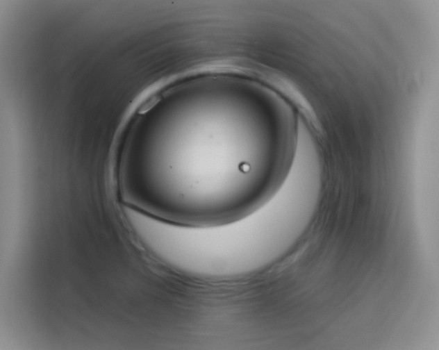 X0000114131328200910081236