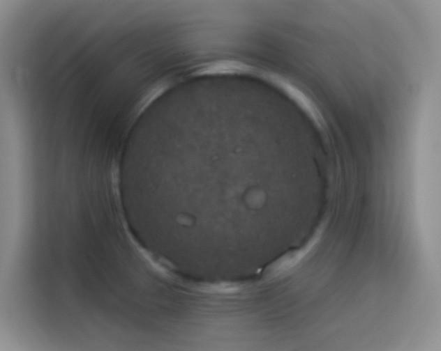 X0000114131329200910081236