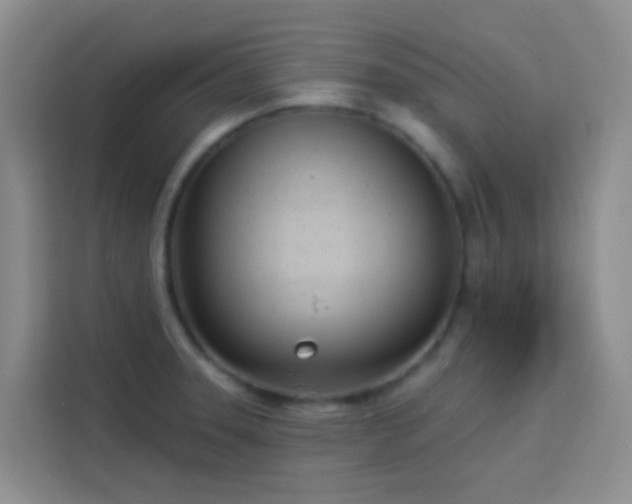 X0000114131331200910081236