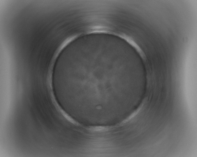 X0000114131333200910081236