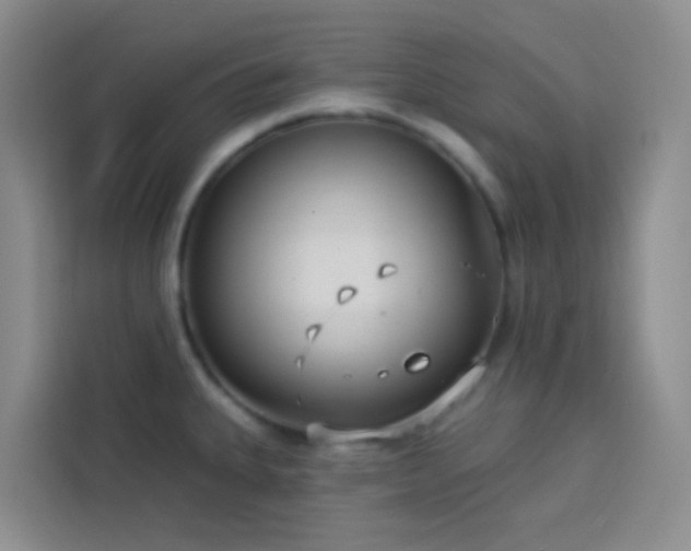 X0000114131335200910081236