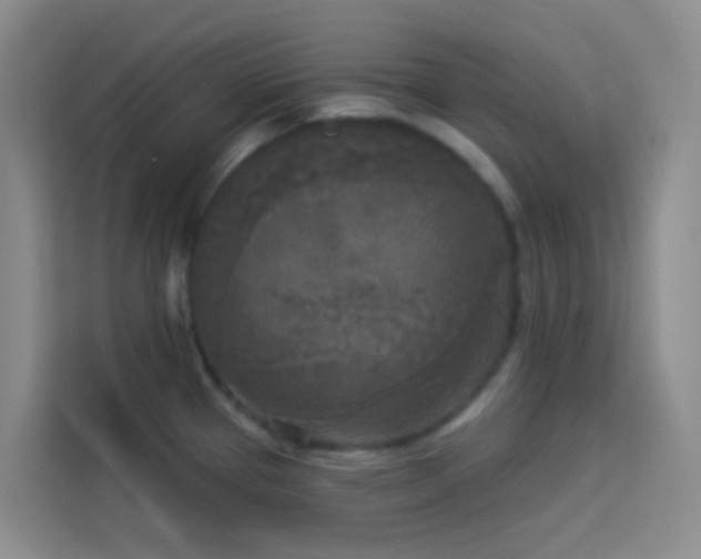X0000114131337200910081236