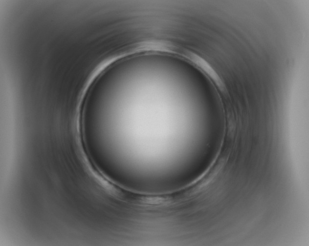 X0000114131339200910081236