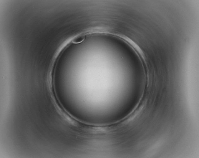 X0000114131341200910081236
