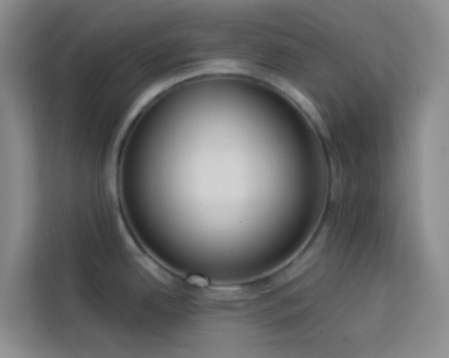 X0000114131342200910081236