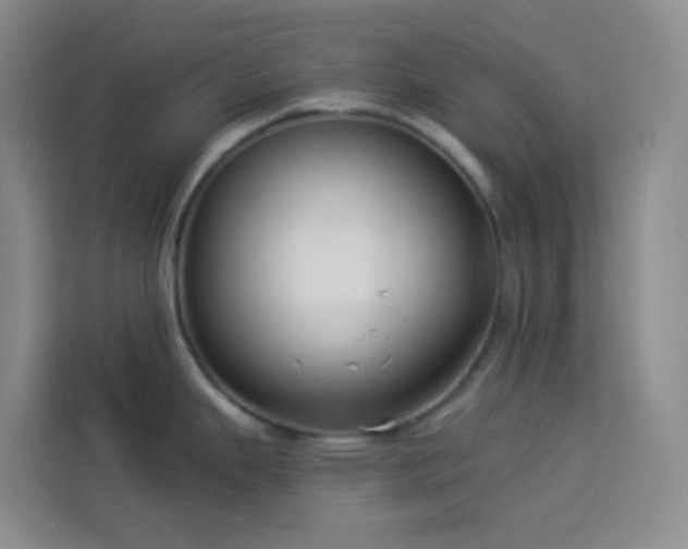 X0000114131343200910081236