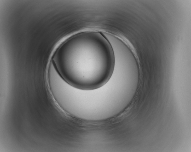 X0000114131344200910081236