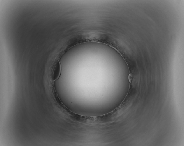 X0000114131345200910081236