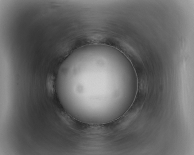 X0000114131346200910081236