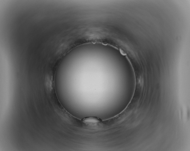 X0000114131348200910081236