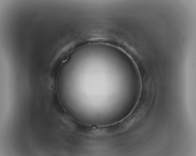 X0000114131351200910081236