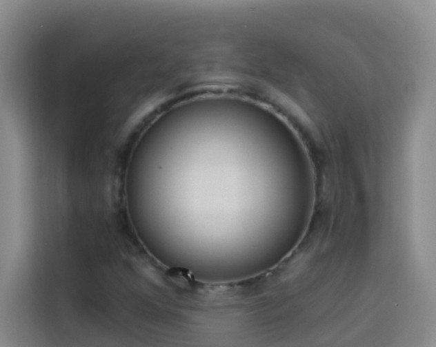 X0000114131352200910081236