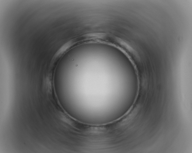 X0000114131354200910081236