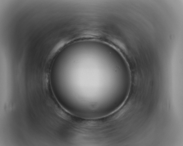 X0000114131355200910081236