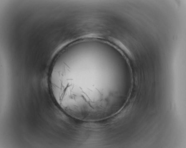 X0000114131356200910081236