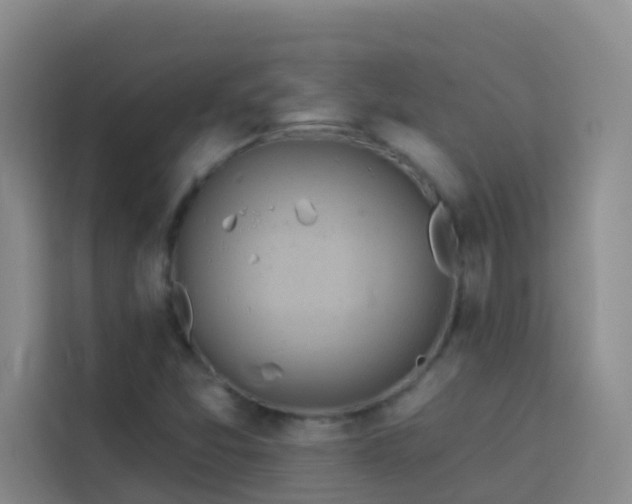 X0000114131357200910081236