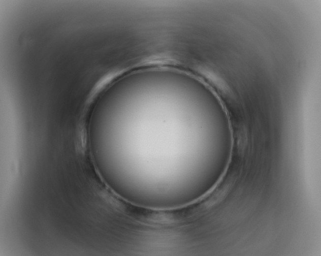 X0000114131358200910081236