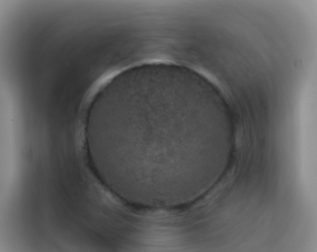 X0000114131359200910081236