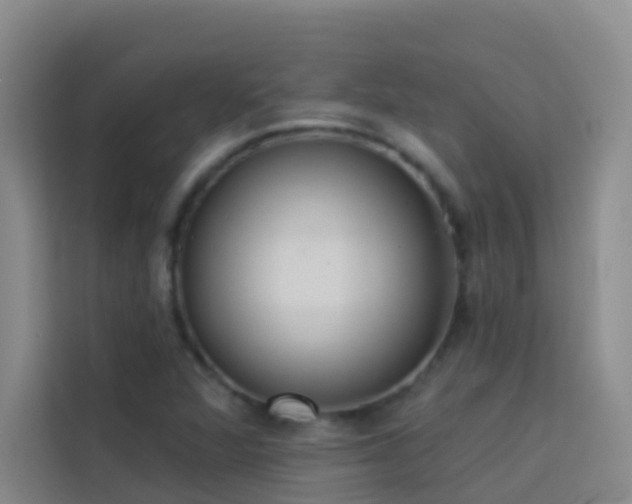 X0000114131360200910081236