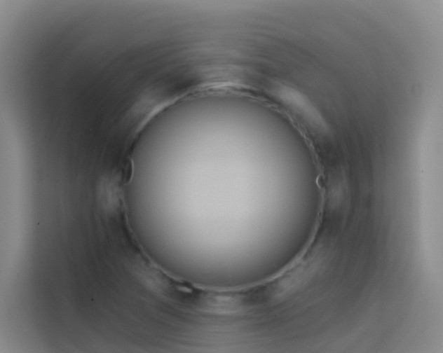 X0000114131361200910081236