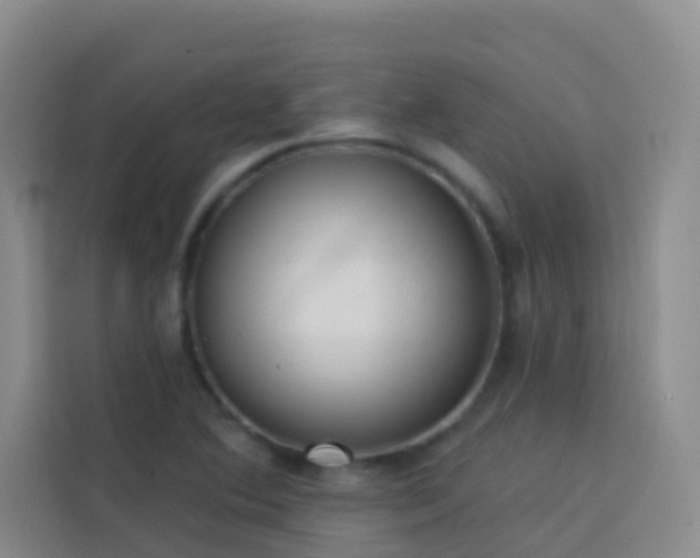 X0000114131364200910081236