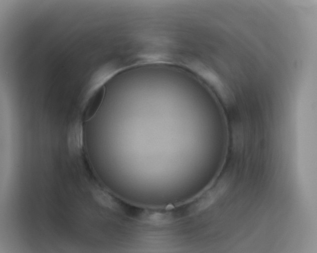 X0000114131365200910081236