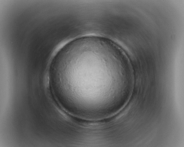 X0000114131367200910081236