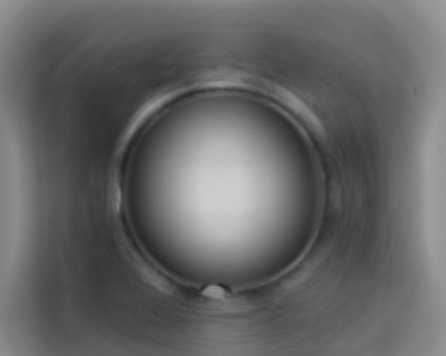X0000114131368200910081235