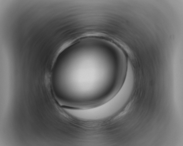 X0000114131369200910081235