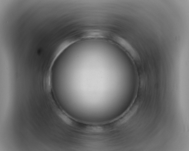 X0000114131370200910081235