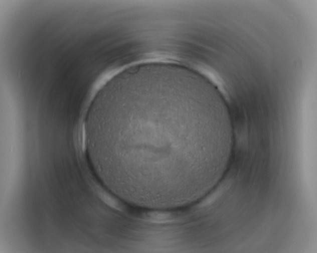 X0000114131371200910081235