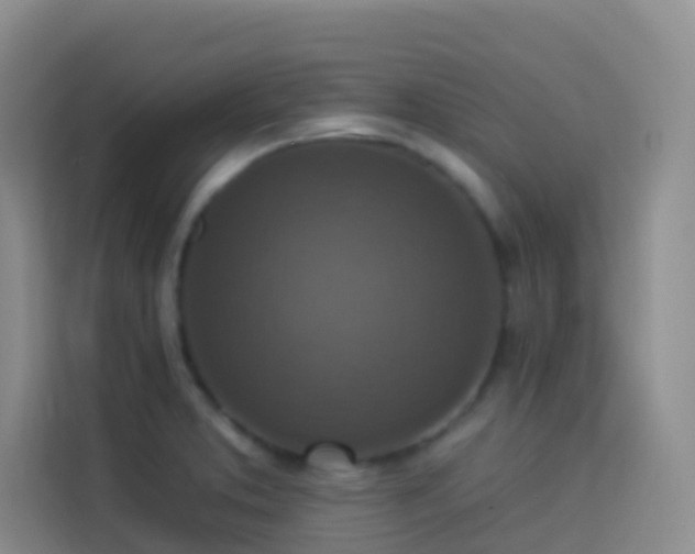 X0000114131373200910081235