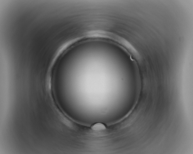 X0000114131376200910081235