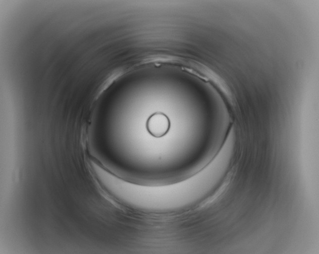 X0000114131377200910081235