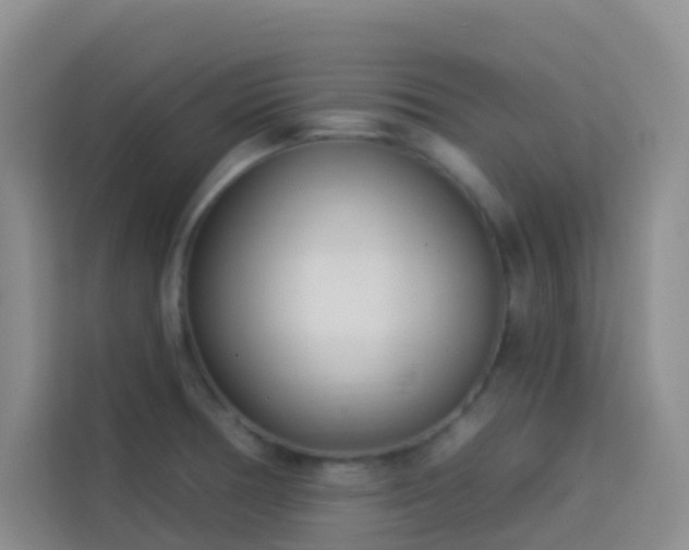 X0000114131378200910081235