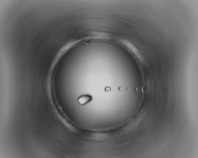 X0000114131379200910081235