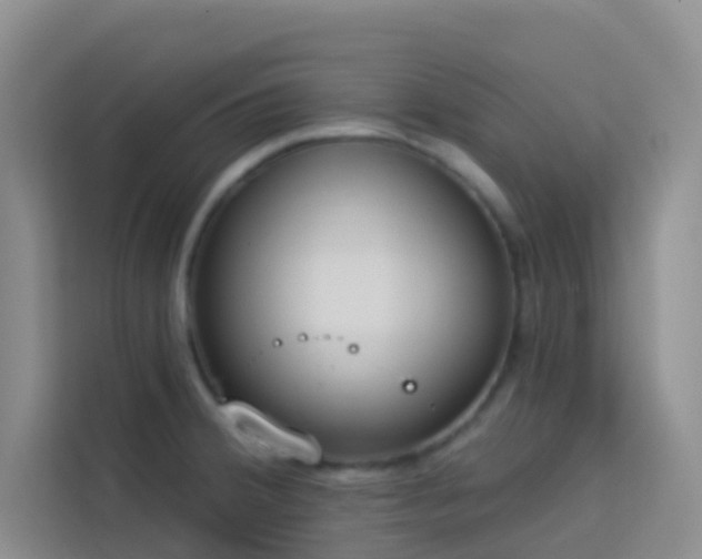 X0000114131380200910081235