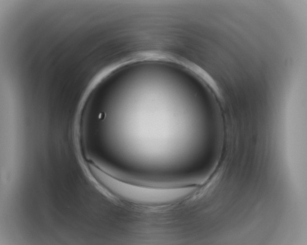 X0000114131381200910081235