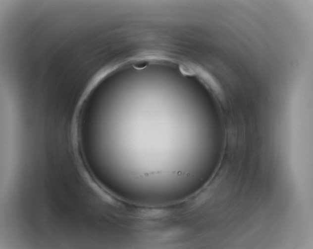 X0000114131382200910081235
