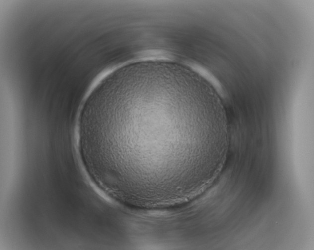 X0000114131383200910081235