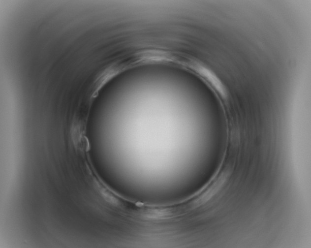 X0000114131385200910081235