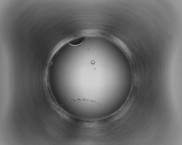 X0000114131386200910081235