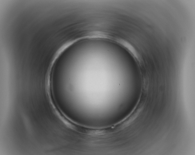 X0000114131387200910081235